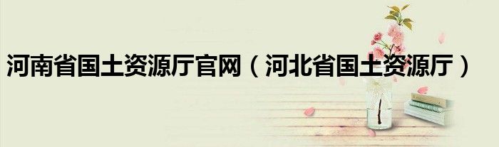 河南省国土资源厅官网（河北省国土资源厅）