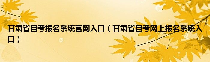 甘肃省自考报名系统官网入口（甘肃省自考网上报名系统入口）