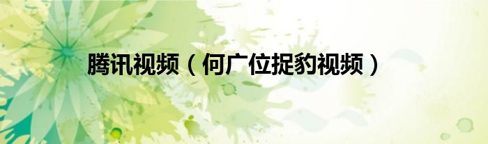 腾讯视频（何广位捉豹视频）