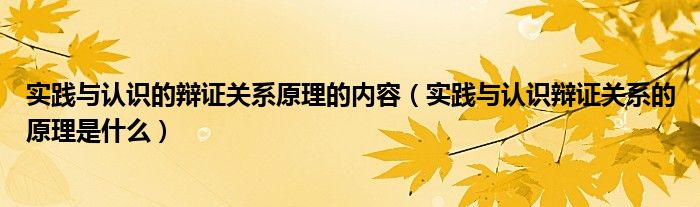 实践与认识的辩证关系原理的内容（实践与认识辩证关系的原理是什么）