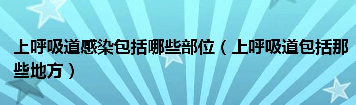 上呼吸道感染包括哪些部位（上呼吸道包括那些地方）