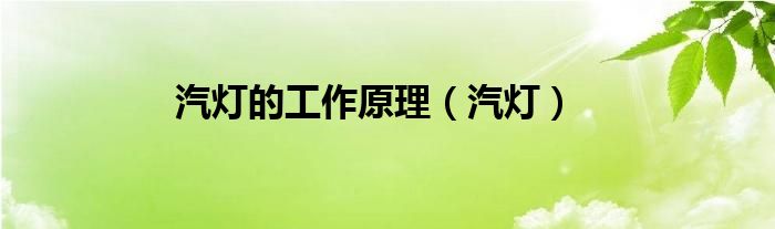 汽灯的工作原理（汽灯）