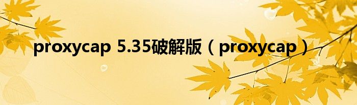 proxycap 5.35破解版（proxycap）