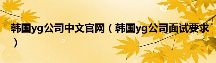 韩国yg公司中文官网（韩国yg公司面试要求）