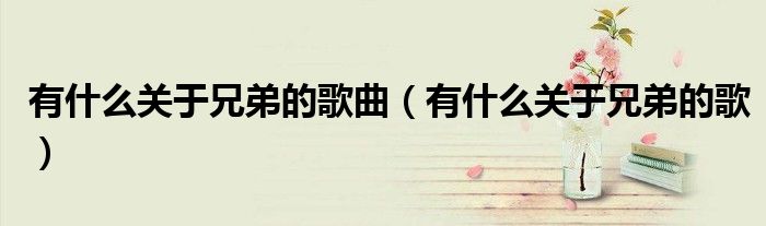 有什么关于兄弟的歌曲（有什么关于兄弟的歌）