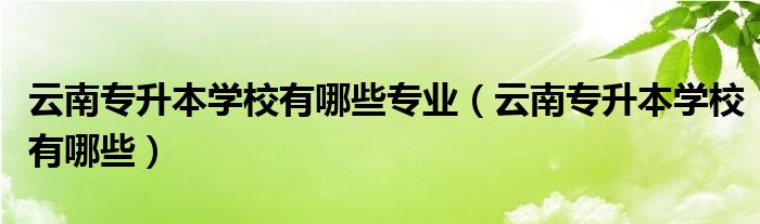 云南专升本学校有哪些专业（云南专升本学校有哪些）