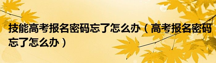 技能高考报名密码忘了怎么办（高考报名密码忘了怎么办）