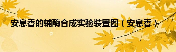 安息香的辅酶合成实验装置图（安息香）