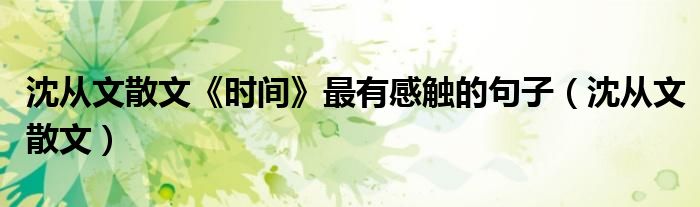 沈从文散文《时间》最有感触的句子（沈从文散文）