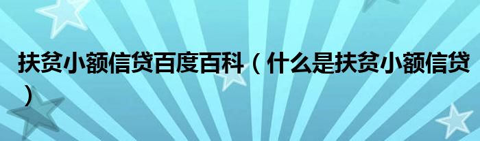 扶贫小额信贷百度百科（什么是扶贫小额信贷）