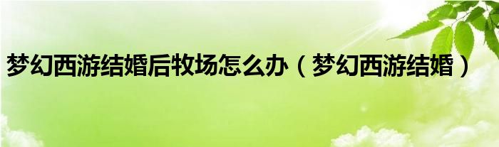 梦幻西游结婚后牧场怎么办（梦幻西游结婚）