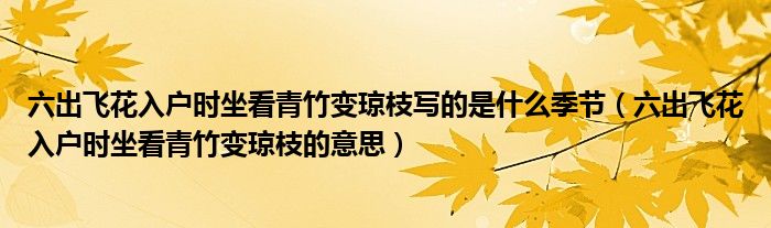 六出飞花入户时坐看青竹变琼枝写的是什么季节（六出飞花入户时坐看青竹变琼枝的意思）