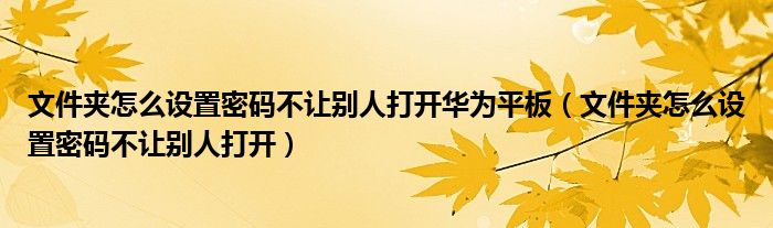 文件夹怎么设置密码不让别人打开华为平板（文件夹怎么设置密码不让别人打开）