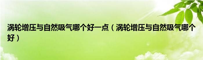 涡轮增压与自然吸气哪个好一点（涡轮增压与自然吸气哪个好）