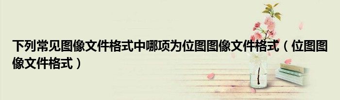 下列常见图像文件格式中哪项为位图图像文件格式（位图图像文件格式）