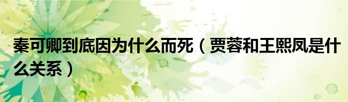 秦可卿到底因为什么而死（贾蓉和王熙凤是什么关系）