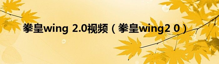 拳皇wing 2.0视频（拳皇wing2 0）