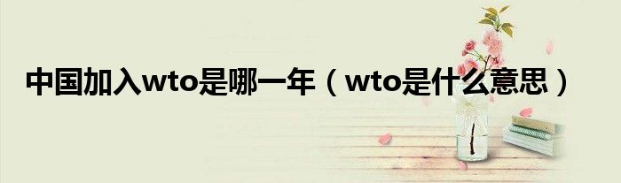 中国加入wto是哪一年（wto是什么意思）