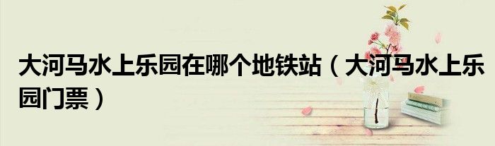 大河马水上乐园在哪个地铁站（大河马水上乐园门票）
