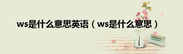 ws是什么意思英语（ws是什么意思）