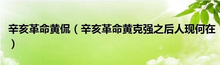 辛亥革命黄侃（辛亥革命黄克强之后人现何在）