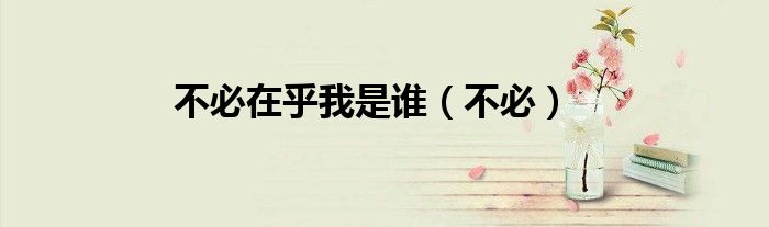 不必在乎我是谁（不必）
