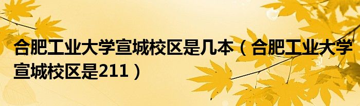 合肥工业大学宣城校区是几本（合肥工业大学宣城校区是211）