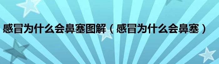 感冒为什么会鼻塞图解（感冒为什么会鼻塞）