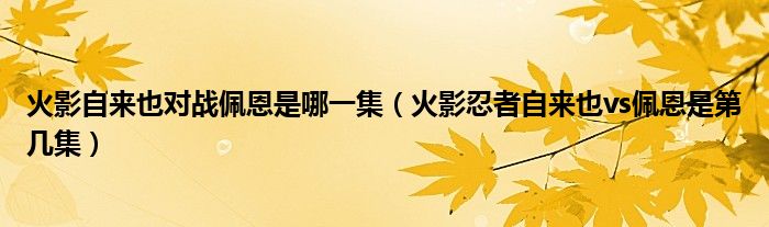 火影自来也对战佩恩是哪一集（火影忍者自来也vs佩恩是第几集）