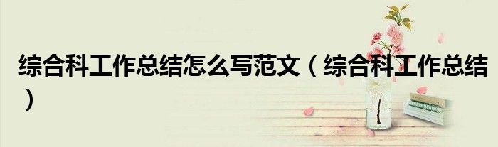 综合科工作总结怎么写范文（综合科工作总结）