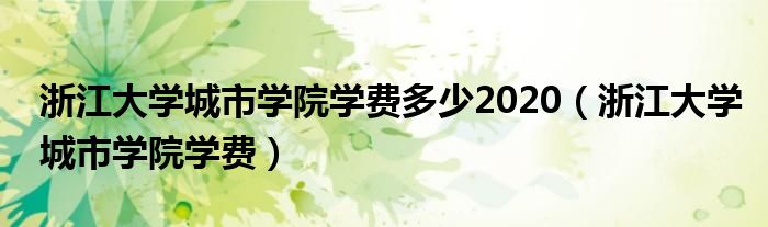 浙江大学城市学院学费多少2020（浙江大学城市学院学费）