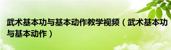 武术基本功与基本动作教学视频（武术基本功与基本动作）