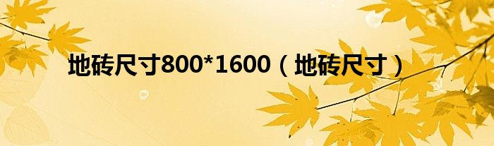 地砖尺寸800*1600（地砖尺寸）