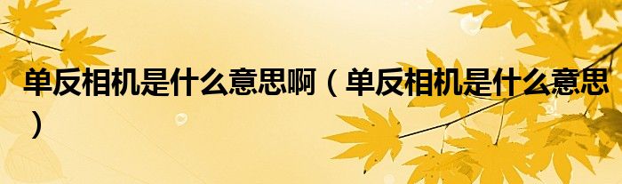 单反相机是什么意思啊（单反相机是什么意思）