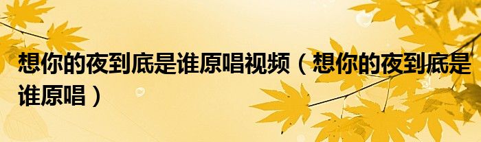 想你的夜到底是谁原唱视频（想你的夜到底是谁原唱）