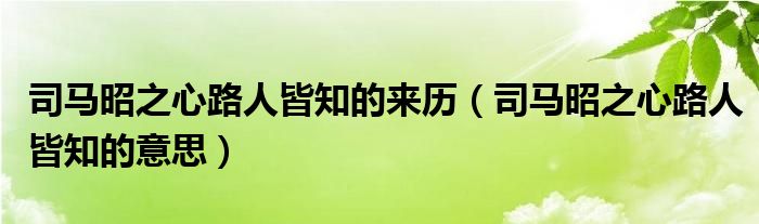 司马昭之心路人皆知的来历（司马昭之心路人皆知的意思）