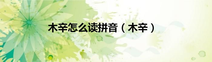 木辛怎么读拼音（木辛）
