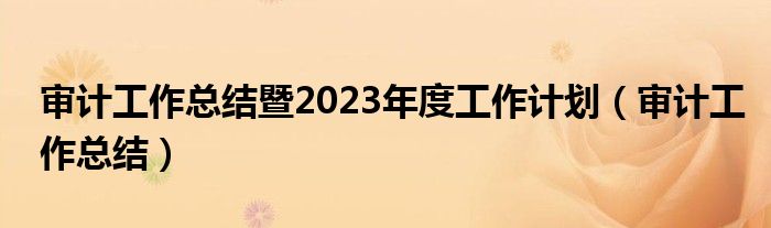 审计工作总结暨2023年度工作计划（审计工作总结）
