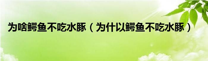 为啥鳄鱼不吃水豚（为什以鳄鱼不吃水豚）