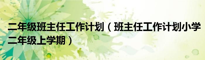 二年级班主任工作计划（班主任工作计划小学二年级上学期）