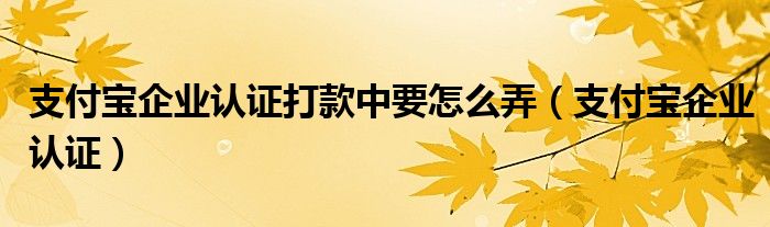 支付宝企业认证打款中要怎么弄（支付宝企业认证）