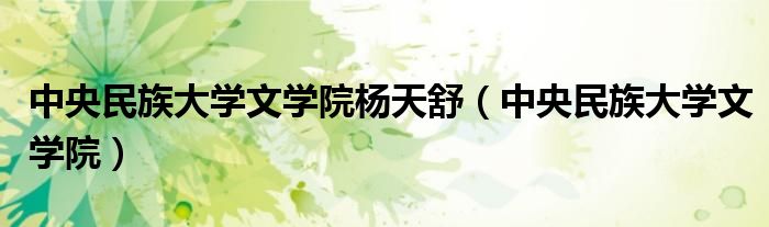 中央民族大学文学院杨天舒（中央民族大学文学院）