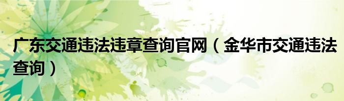 广东交通违法违章查询官网（金华市交通违法查询）