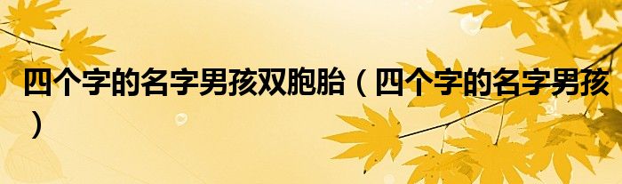 四个字的名字男孩双胞胎（四个字的名字男孩）