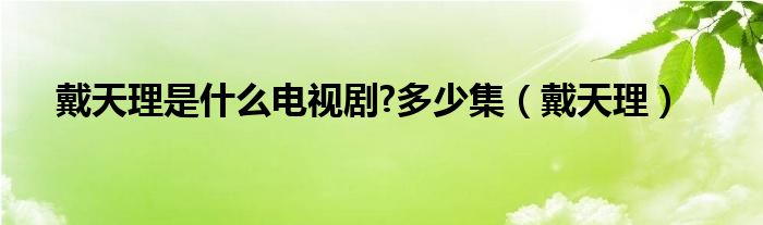 戴天理是什么电视剧?多少集（戴天理）