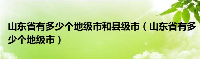 山东省有多少个地级市和县级市（山东省有多少个地级市）