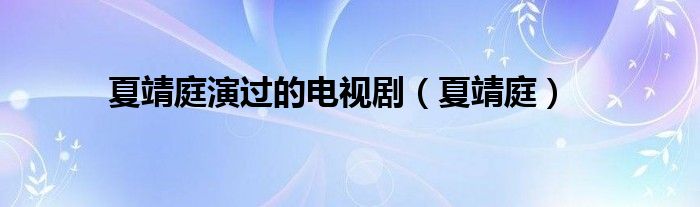 夏靖庭演过的电视剧（夏靖庭）