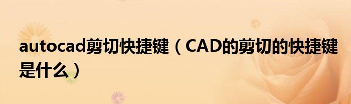 autocad剪切快捷键（CAD的剪切的快捷键是什么）