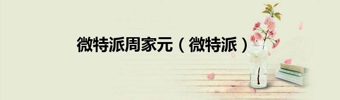 微特派周家元（微特派）