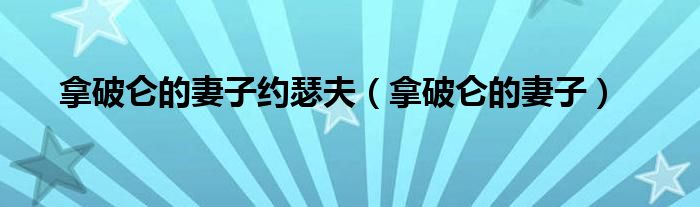 拿破仑的妻子约瑟夫（拿破仑的妻子）